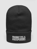 Productive & Prosperous Embroidered Cuffed Beanie