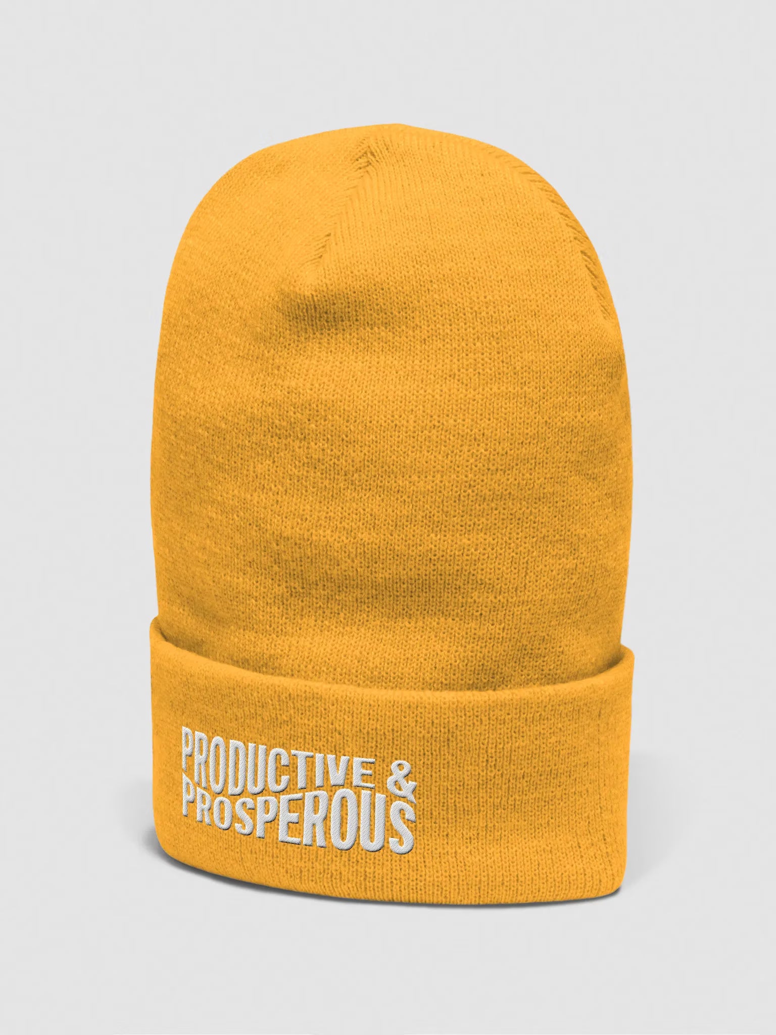 Productive & Prosperous Embroidered Cuffed Beanie